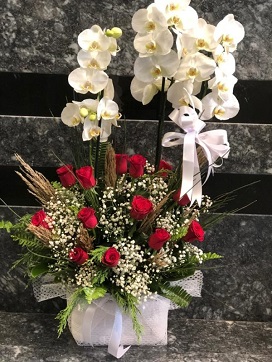 Gösterişli Orkidem